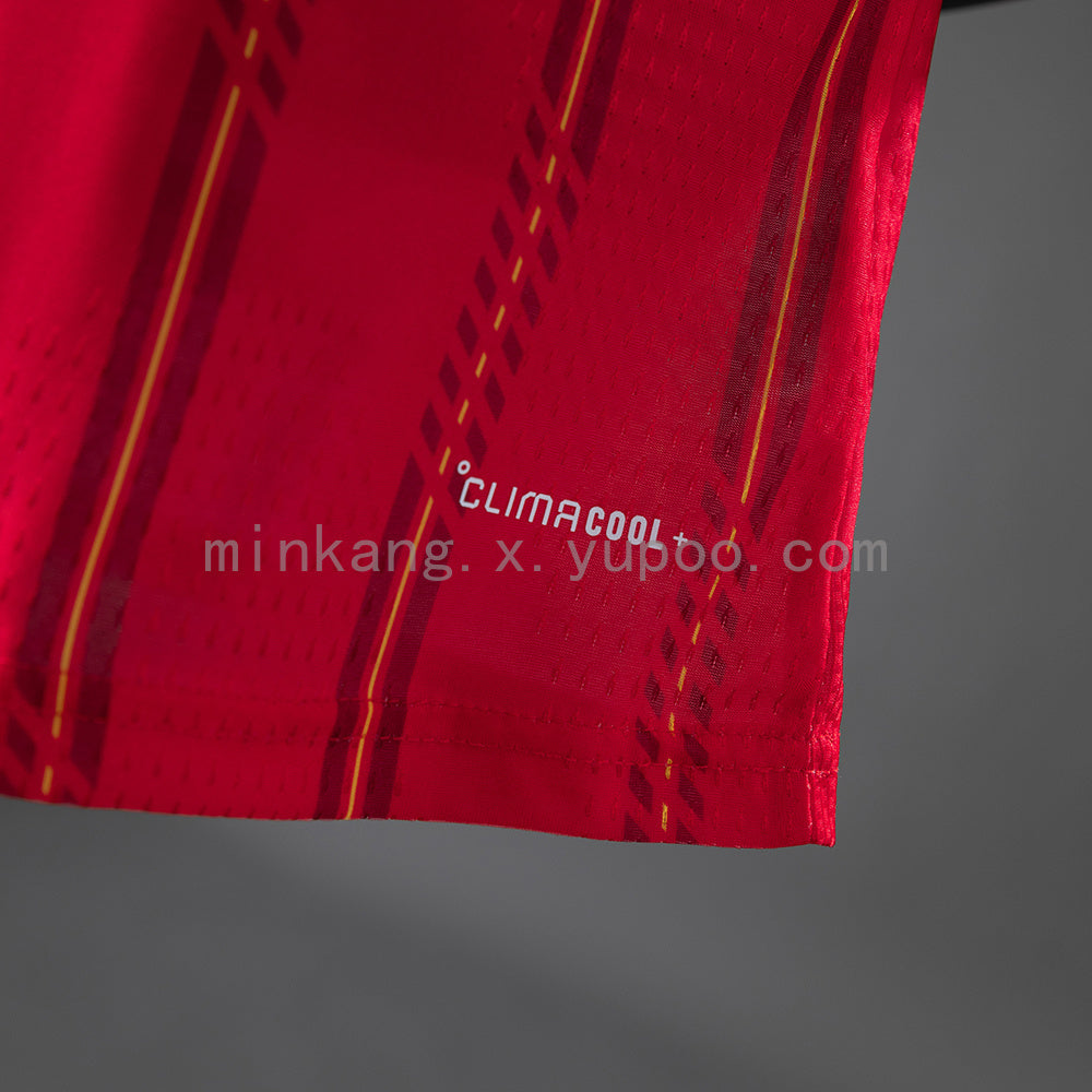 Spain Home 2026 Player Version
