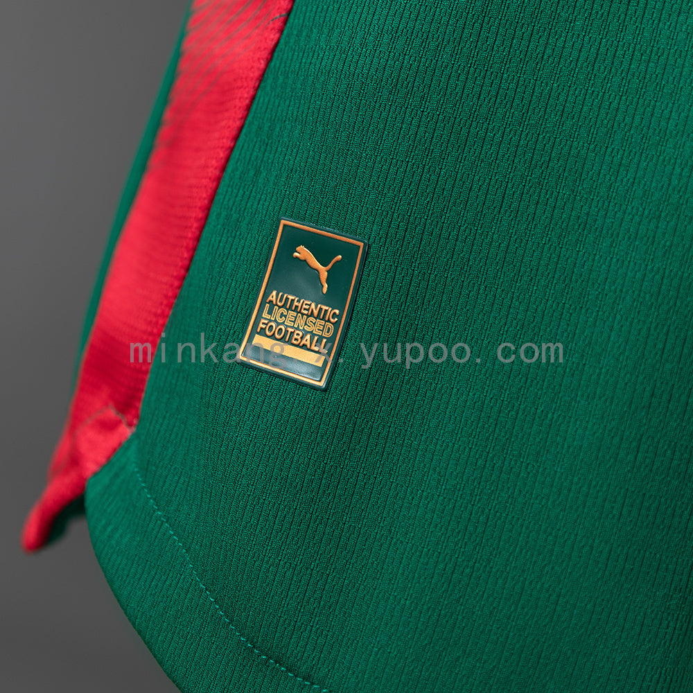Palmeiras Home 26/27 Player Version