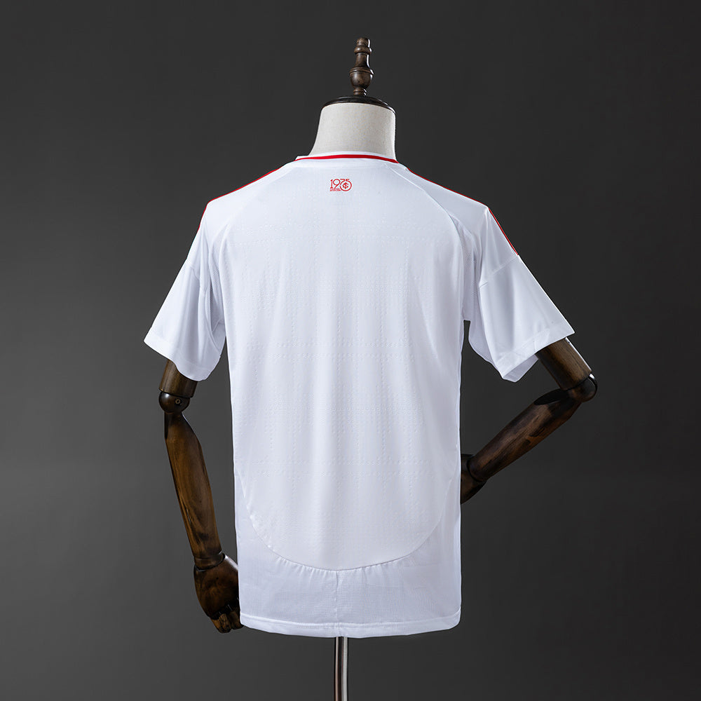 Internacional Away 25/26 Fan Version