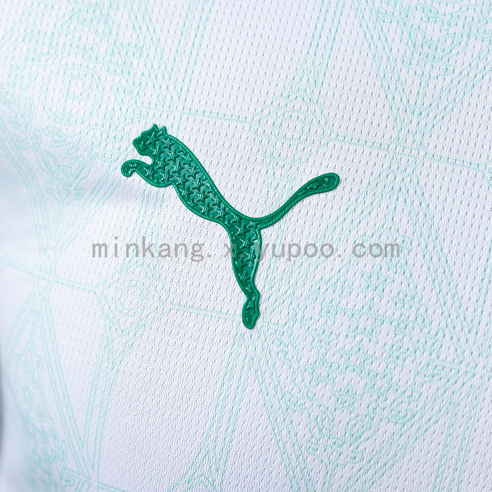 Palmeiras Away 25/26 Player Version
